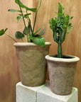 Granada Terracotta Planter
