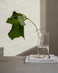 0405 Vase | Clear by FRAMA