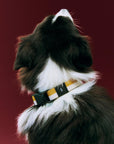 Dog Collar Flat by HAY