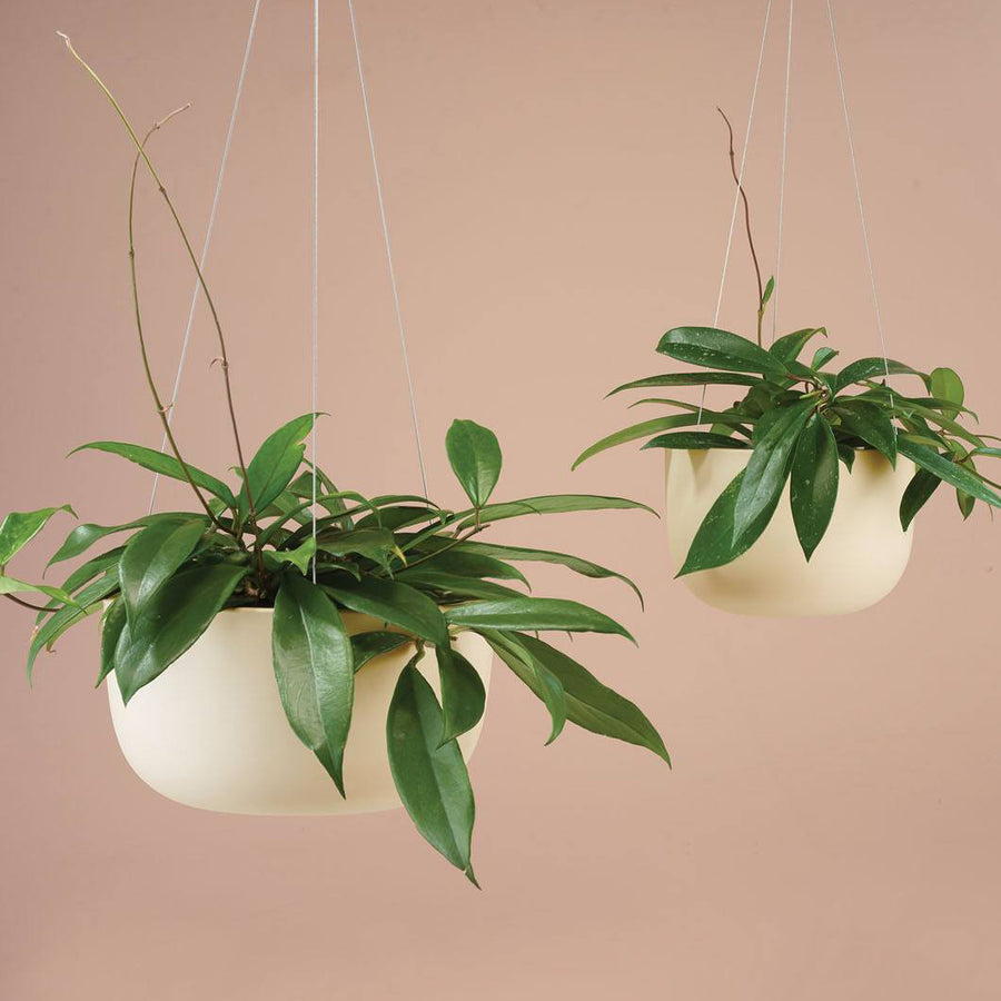Raw Earth Hanging Planters by Angus & Celeste
