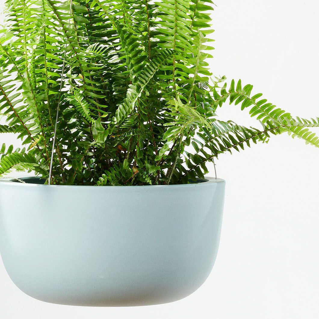 Raw Earth Hanging Planters by Angus & Celeste