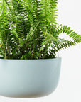 Raw Earth Hanging Planters by Angus & Celeste