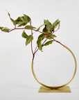 Edging Over Vase in Brass by Anna Varendorff