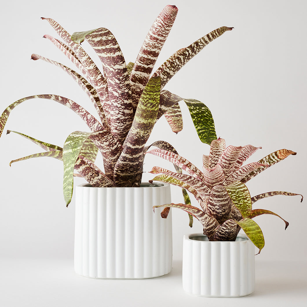 Modular Stack Planter by Angus & Celeste