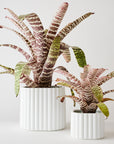 Modular Stack Planter by Angus & Celeste