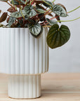 Modular Stack Planter by Angus & Celeste