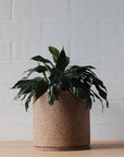 Natural Earth ID Planter by Jenn Johnston