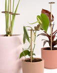 Single Stem Stake by Lood