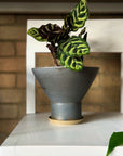 Bulb Planter in Midnight by Leaf & Thread