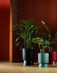 Large Palm Springs Planter by Lightly