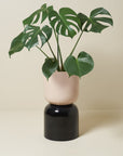 Extra Large Two Tone Planter by Lightly