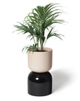 Extra Large Two Tone Planter by Lightly