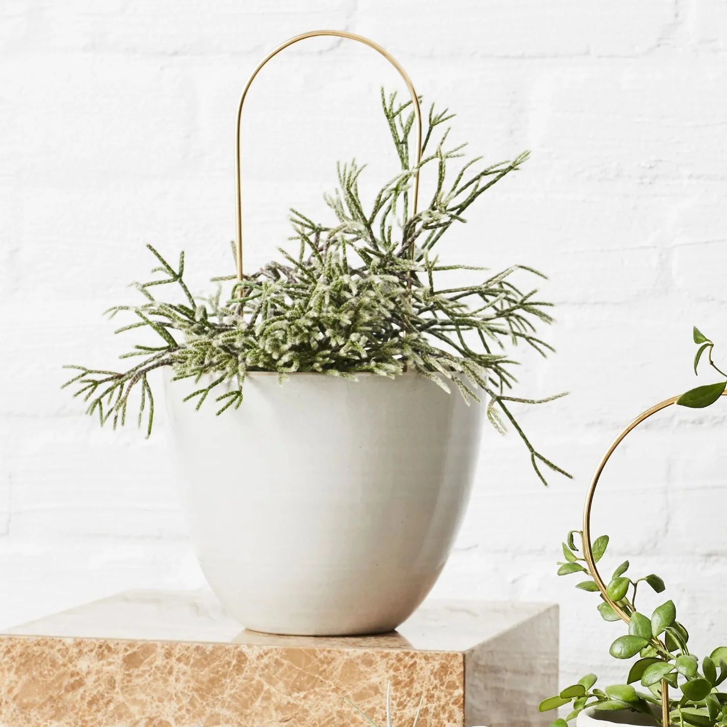 Arch Plant Stake by Ivy Muse