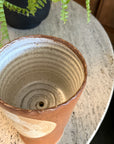 Doorway Planter by Peta Armstrong