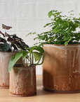 Caramel ID Planter by Jenn Johnston