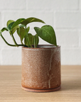 Caramel ID Planter by Jenn Johnston