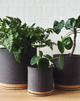 Charcoal ID Planter by Jenn Johnston