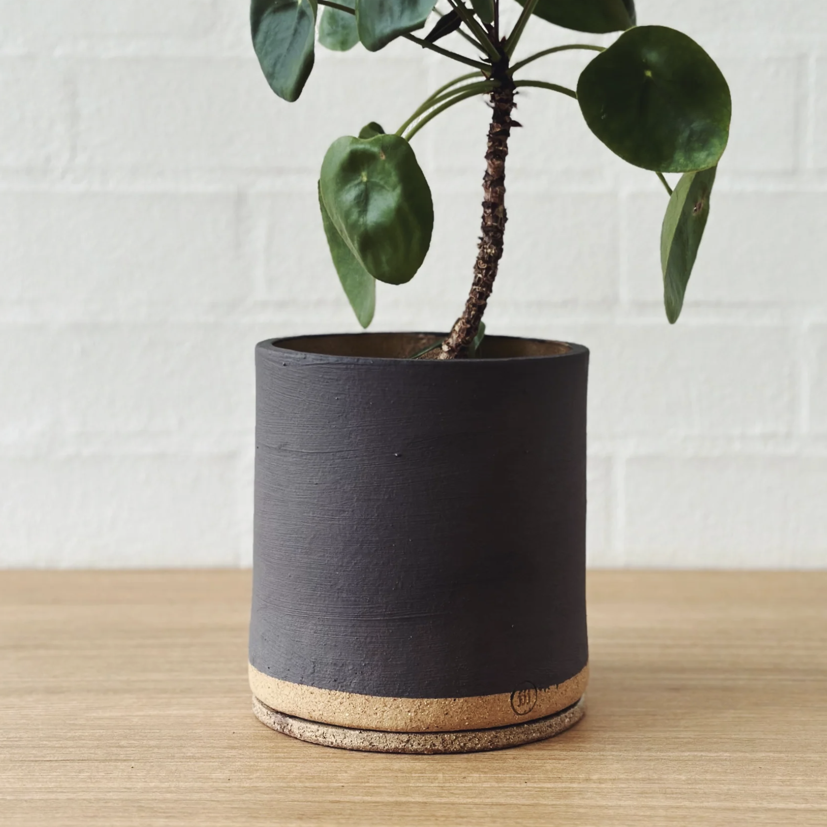 charcoal in plant pots Charcoal ID Planter by Jenn Johnston
