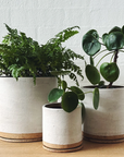 Eggshell White ID Planter by Jenn Johnston