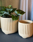 Footed Planter by Arcadia Scott