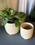 Footed Planter by Arcadia Scott