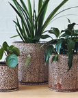 Speckled ID Planter by Jenn Johnston