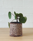 Speckled ID Planter by Jenn Johnston