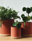 Terracotta ID Planter by Jenn Johnston