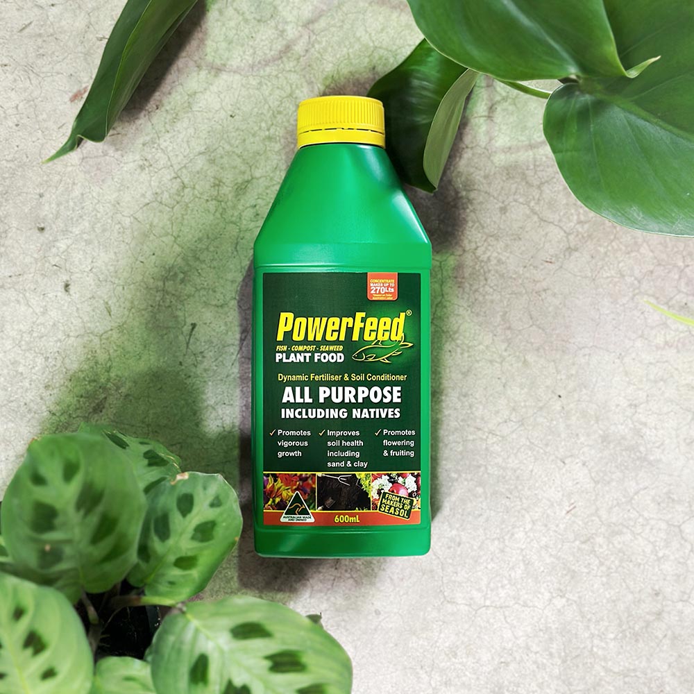 PowerFeed Concentrate Plant Food 600ml