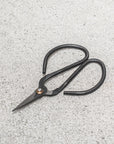 Flower Scissors by Nutscene