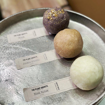 Soap Ball | The Plant Society