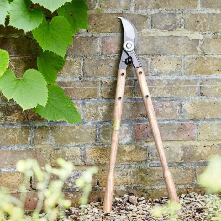 Lopper by Sophie Conran