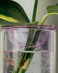 Propagation Vase by Studio Milligram