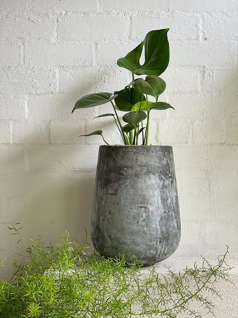 Tear Drop Planter - THE PLANT SOCIETY ONLINE OUTPOST