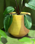 Tangier Planter in Terracotta