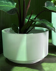 Tangier Planter in White