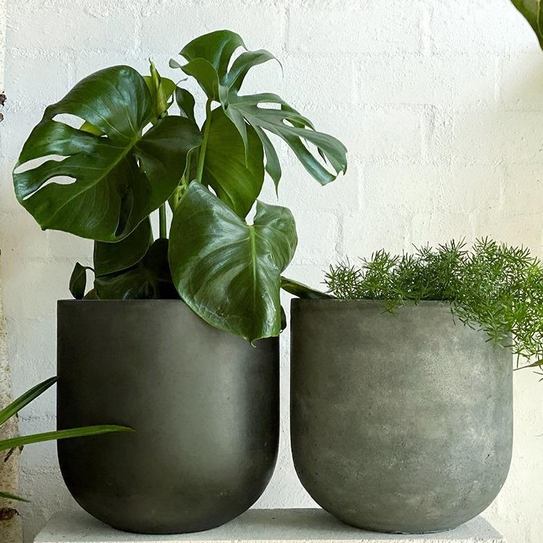 cheap plant pots melbourne U Planter in Charcoal | The Plant Society Melbourne