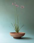 Ada Planter by Bergs Potter
