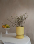 Hoff Planter by Bergs Potter
