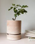 Hoff Planter by Bergs Potter