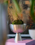 Large Vera Planter by Lightly