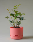 Self Watering Planter 215mm by Mr Kitly