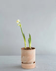 Hoff Planter by Bergs Potter