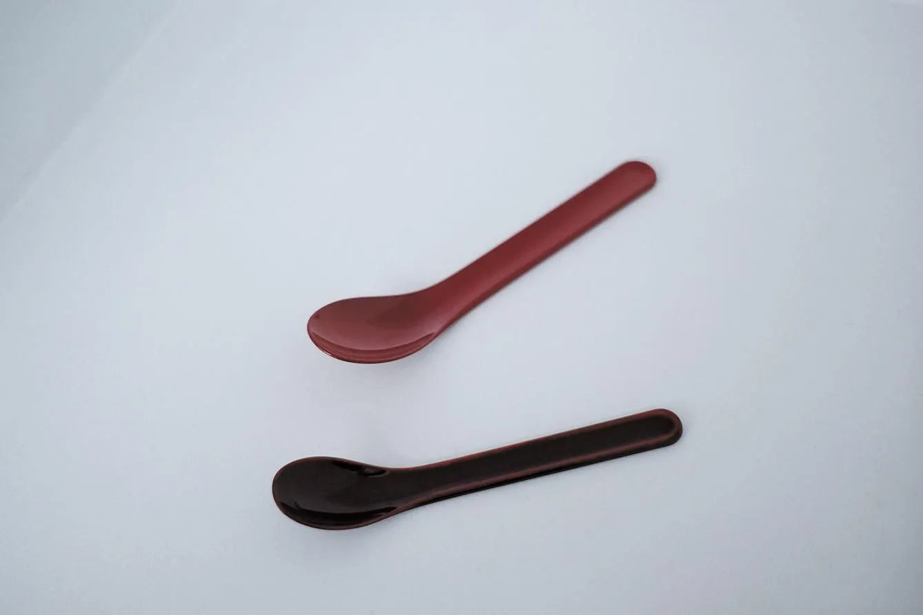 SARO Urushi Spoon in Tame black