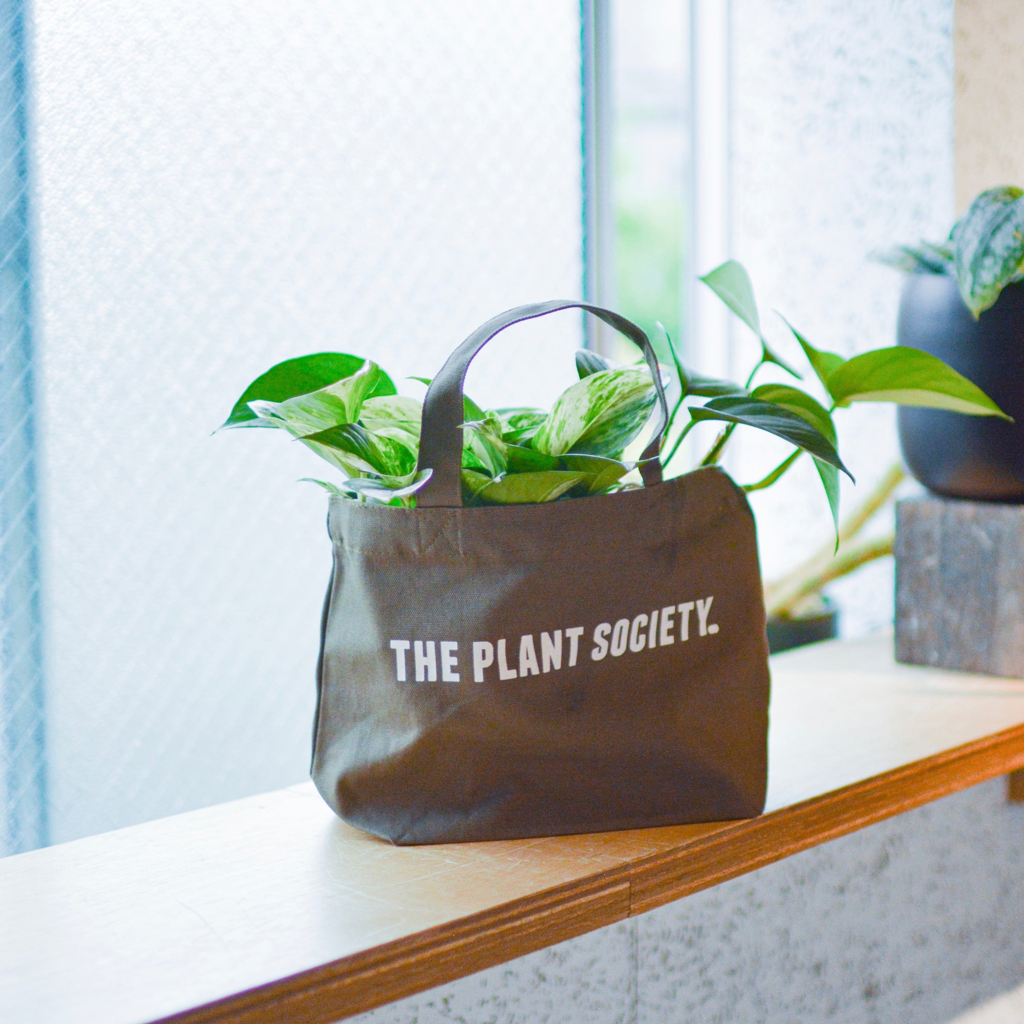 The Plant Society Mini Carry-all Tote