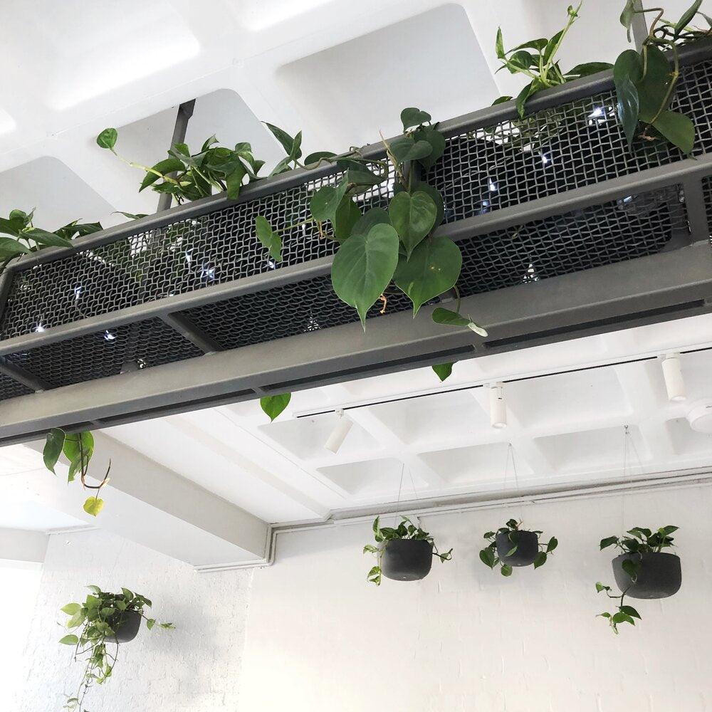 Raw Earth Hanging Planters by Angus & Celeste - THE PLANT SOCIETY