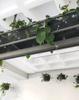 Raw Earth Hanging Planters by Angus & Celeste - THE PLANT SOCIETY