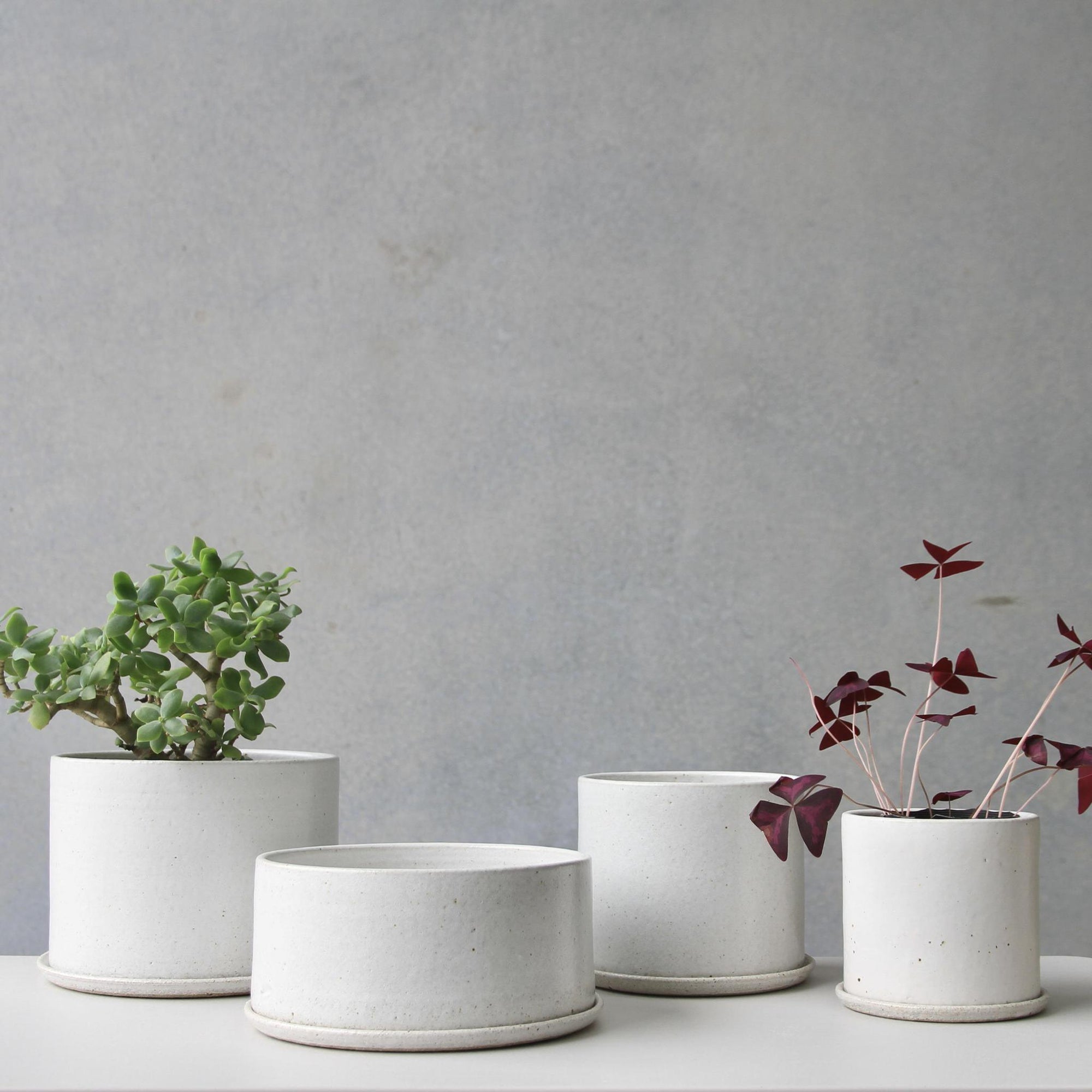 Zinc White Minimalist Planter by Arcadia Scott - THE PLANT SOCIETY