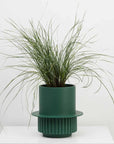 Roma Planter by Capra Designs