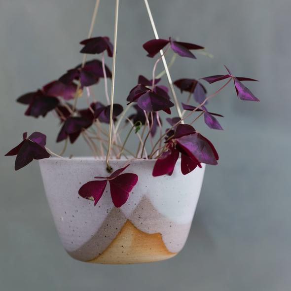 Misty Morning Brass Hanging Planter by Leaf & Thread - THE PLANT SOCIETY